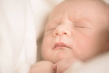 Küçük uyuyan yeni doğan bebek şal krem battaniyeye. 13 gün eski. Alan metni kopyalayın. Annelik, Aile, doğum kavramı.
