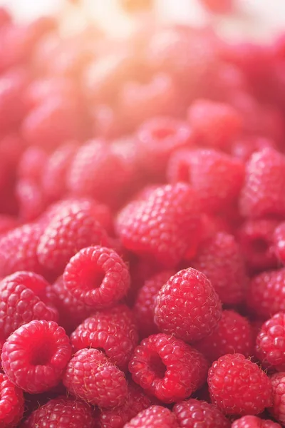 Macros maduros de frambuesas. Enfoque selectivo. Fondo de fruta con espacio de copia. Verano soleado y concepto de cosecha de bayas. Efecto de luz solar. Vegano, vegetariano, alimentos crudos . — Foto de Stock