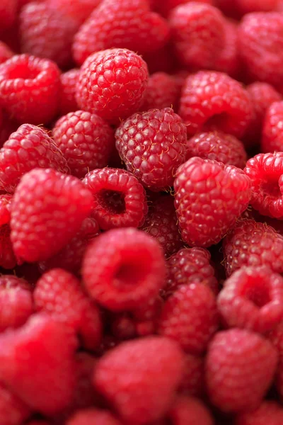 Ripe raspberries macro. Selective focus. Fruit background with copy space. Sunny summer and berries harvest concept. Sunlight effect. Vegan, vegetarian, raw food. Stock Image