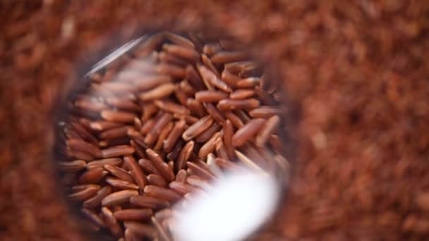 Ακατέργαστο βιολογικό μούρο ρυζιού, καφέ ρύζι μικτής υφής σε περιστρεφόμενο φόντο. Έννοια συστατικών τροφίμων. Top view, υγιεινό τρόπο ζωής — Αρχείο Βίντεο