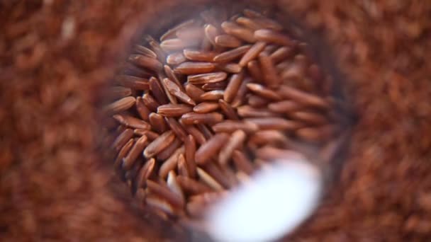 Bacca di riso biologico crudo, riso integrale a pasta mista su fondo rotante. Concetto ingrediente alimentare. Vista dall'alto, stile di vita sano — Video Stock