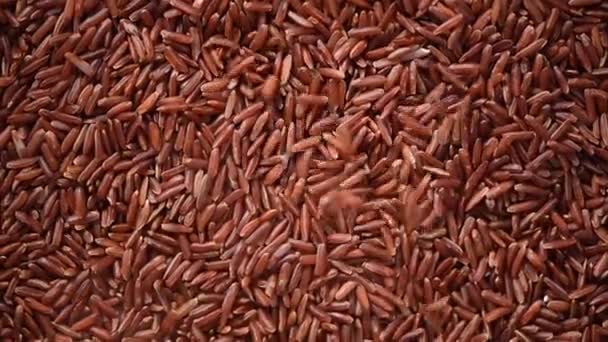 Rohe Bio-Reisbeeren, brauner Reis gemischte Textur auf rotierendem Hintergrund. Konzept für Lebensmittelzutaten. Draufsicht, gesunder Lebensstil — Stockvideo