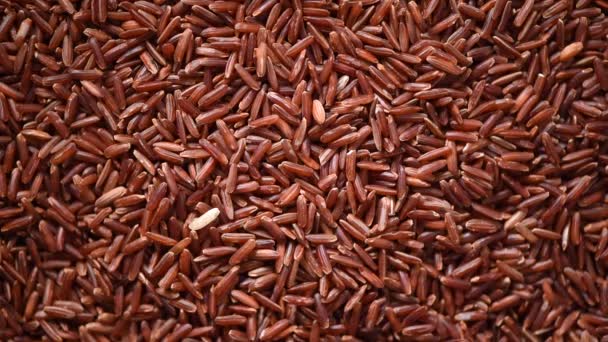 Nyers bio rizs bogyó, barna rizs kevert textúra forgó háttérrel. Az élelmiszer-összetevő fogalma. Top view, egészséges életmód — Stock videók