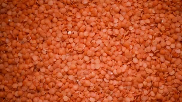 Red raw organic lentils texture rotation. Food ingredient background. Top view — 비디오