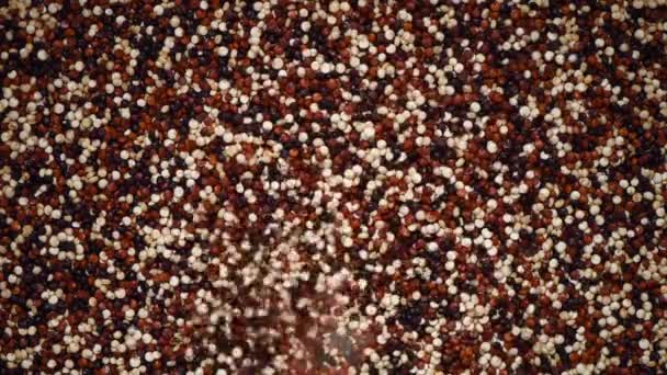 Wielokolorowe surowe organiczne quinoa na obracającym się tle. Zdrowe składniki żywności. Przestrzeń kopiowania — Wideo stockowe