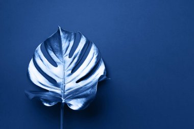 En az düzeyde egzotik yaz trendi. Klasik mavi arka planda tropik palmiye yaprağı. Parlak ve ışıltılı tasarım, moda konsepti.