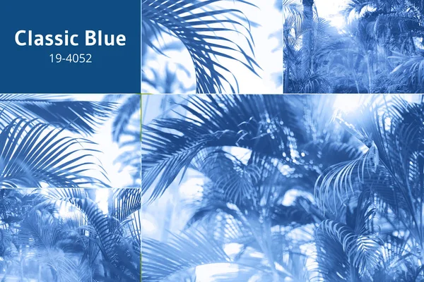 Модний колаж з природними текстурами, листям. фон, натхненний трендовим синім кольором року 2020 — стокове фото