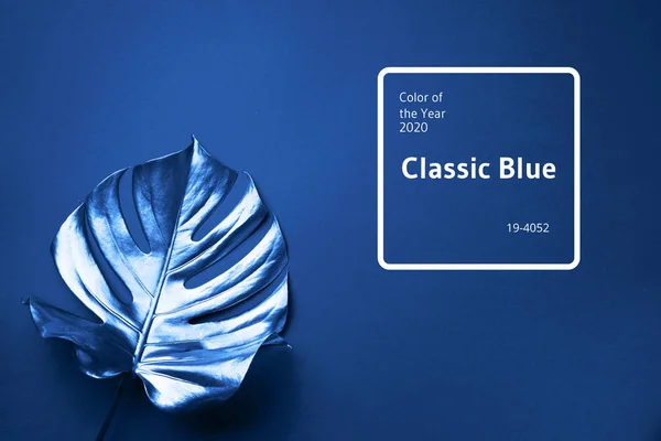 Модний колаж з природними текстурами, листям. фон, натхненний трендовим синім кольором року 2020 — стокове фото