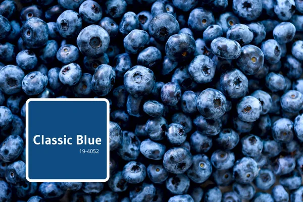 Frisk blåbær baggrund med kopi plads til din tekst. Grænsedesign. Vegansk og vegetarisk koncept. Makro tekstur af blåbær bær. Sommer sund mad - Stock-foto