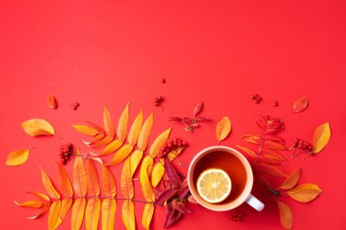 Sonbahar düz kompozisyonu. Bir fincan çay, kırmızı arka planda sonbahar yaprakları. Üst Manzara. Düz yatıyordu. Sonbahar mevsimi konsepti