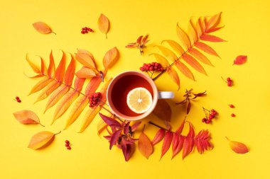 Sonbahar düz kompozisyonu. Bir fincan çay, sarı arka planda sonbahar yaprakları. Üst Manzara. Düz yatıyordu. Sonbahar mevsimi konsepti