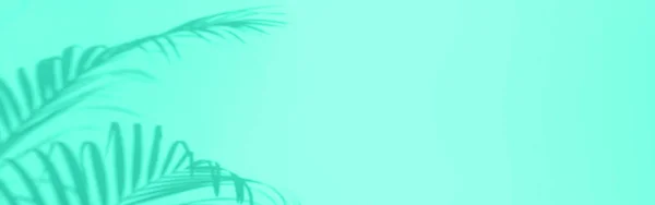 Concepto de viaje de verano. Sombra de hojas de palma exóticas se extiende sobre fondo de color menta. Banner con espacio de copia. Color verde y turquesa de moda . — Foto de Stock