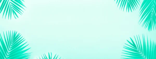 Tropikalne liście palmy na tle koloru mięty. Minimalna koncepcja lata. Modny zielony i turkusowy kolor. Widok z góry zielony liść na dziurkującym papierze turkusowym. Sztandar — Zdjęcie stockowe