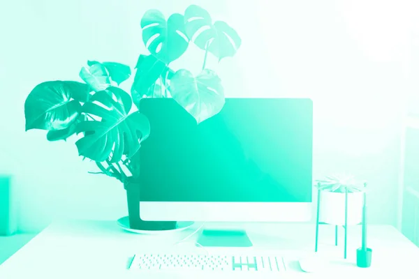 Teclado, ratón, pantalla de ordenador con pantalla en blanco y negro. Color verde y turquesa de moda. Espacio de trabajo del diseñador sobre fondo de color menta. Oficina minimalista en casa. Copiar espacio. Banner — Foto de Stock