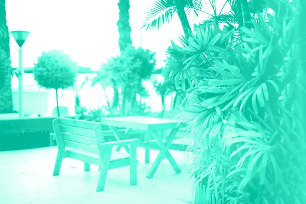 Lege bank op strand loopbrug. Zonnig rustgebied. Tropische muntpalmbomen achtergrond. Trendy groene en turquoise kleur. Zomer, vakantie en reizen concept in trendy groene kleur — Stockfoto