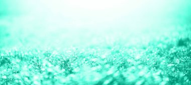 Bokeh ile bulanık yapraklar, nane renginde soyut arkaplan. Pankart. Vahşi doğa. Moda yeşili ve turkuaz rengi.