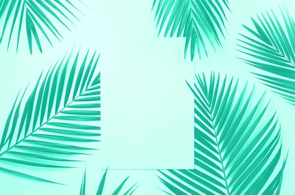 Tropical palm leaves on mint color background with paper card note. Trendy green and turquoise color. Minimal summer concept. Creative layout. Top view, flat lay.