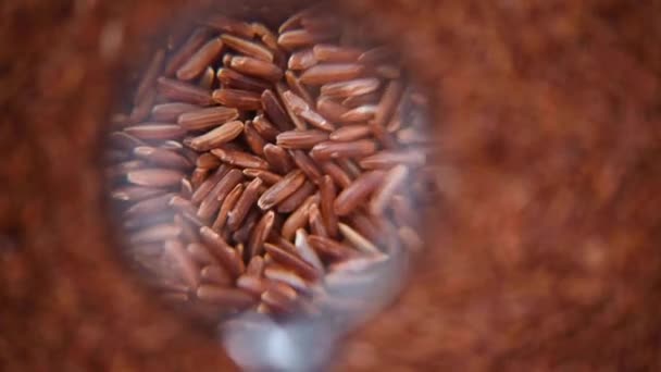 Raw organic rice berry, brown rice mixed texture on rotating background. Food ingredient concept. Top view, healthy lifestyle — Stock Video