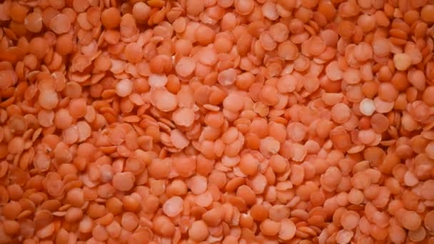 Red raw organic lentils texture rotation. Food ingredient background. Top view — Stock Video