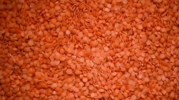Red raw organic lentils texture rotation. Food ingredient background. Top view — Stock Video