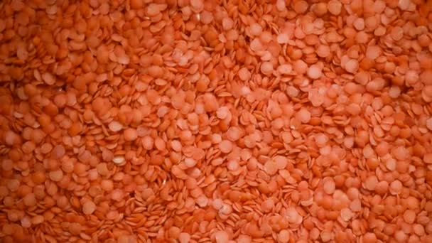 Red raw organic lentils texture rotation. Food ingredient background. Top view — Stock Video