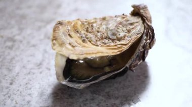 Gri mermer arka planda açık istiridye. Deniz ürünleri tabağı.