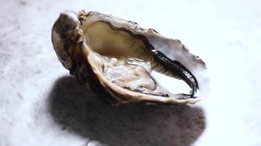 Gri mermer arka planda açık istiridye. Deniz ürünleri tabağı.