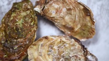 Gri mermer arka planda taze istiridye. Deniz ürünleri tabağı.