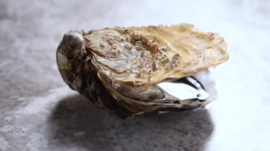 Gri mermer arka planda açık istiridye. Deniz ürünleri tabağı.