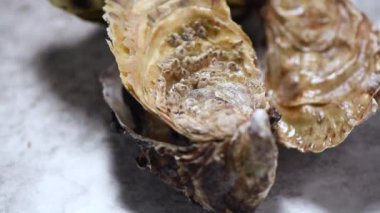 Gri mermer arka planda taze istiridye. Deniz ürünleri tabağı.