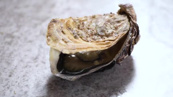 Huître ouverte sur fond rotatif en marbre gris. Assiette de fruits de mer — Video