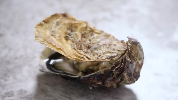 Geopende oester op grijs marmer draaiende achtergrond. Zeevruchten plaat — Stockvideo