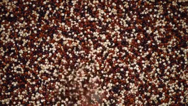 Multicolor raw organic quinoa on rotating background. Healthy food ingredients. Copy space — Stock Video