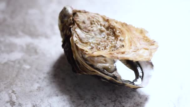 Öppnade ostron på grå marmor roterande bakgrund. Fisk och skaldjur — Stockvideo