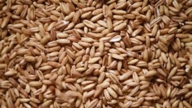 Arka planda yulaf taneleri var. Yemek malzemesi geçmişi. Tahıl ve tohum dokusu. Üst düzey, sağlıklı yaşam tarzı konsepti. Vejetaryen sağlıklı beslenme. Yemek pişirme süreci.