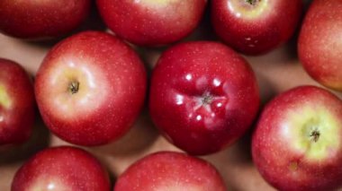 Dönen arka planda taze kırmızı elmalar. Üst Manzara. Vegan ve çiğ gıda konsepti.