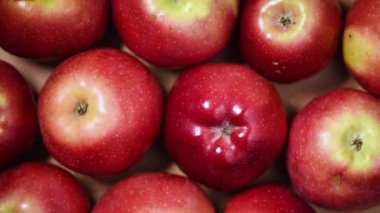 Dönen arka planda taze kırmızı elmalar. Üst Manzara. Vegan ve çiğ gıda konsepti.