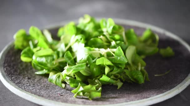 Grüner Salat, der auf einen Steinteller fällt. Ansicht von oben. Veganes und Rohkost-Konzept. — Stockvideo