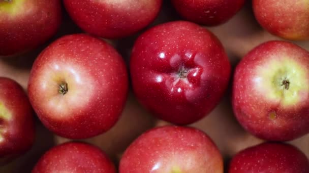 Färska röda äpplen på roterande bakgrund. Högst upp. Veganskt och raw food koncept. — Stockvideo
