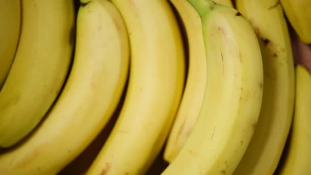 Bananes sur fond rotatif. Vue de dessus. Concept alimentaire végétalien et cru. Bouquet de bananes jaunes — Video