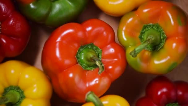 Pimientos sobre fondo giratorio. Vista superior. Concepto de comida vegana y cruda. Colores brillantes verduras — Vídeo de stock