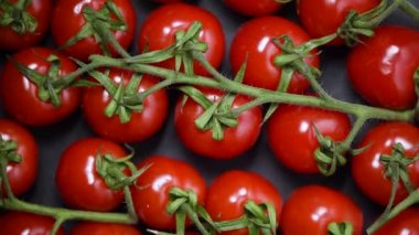 Arka planda vişneli domatesler. Üst Manzara. Vegan ve çiğ gıda konsepti. Bir avuç taze kırmızı domates.