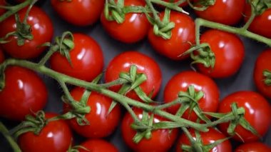 Arka planda vişneli domatesler. Üst Manzara. Vegan ve çiğ gıda konsepti. Bir avuç taze kırmızı domates.