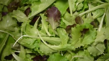 Yeşil salata arka planda kalır. Çiğ organik sebzeler. Üst Manzara. Vejetaryen diyeti ve vejetaryen gıda konsepti.