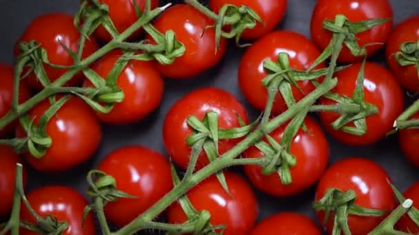 Tomates cherry sobre fondo giratorio. Vista superior. Concepto de comida vegana y cruda. Manojo de tomates rojos frescos — Vídeos de Stock