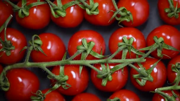 Tomates cherry sobre fondo giratorio. Vista superior. Concepto de comida vegana y cruda. Manojo de tomates rojos frescos — Vídeos de Stock