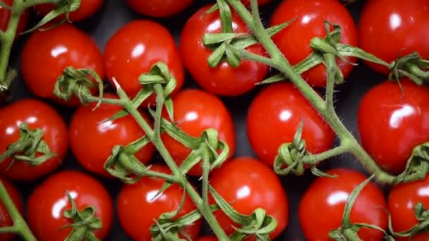 Arka planda vişneli domatesler. Üst Manzara. Vegan ve çiğ gıda konsepti. Bir avuç taze kırmızı domates. — Stok video