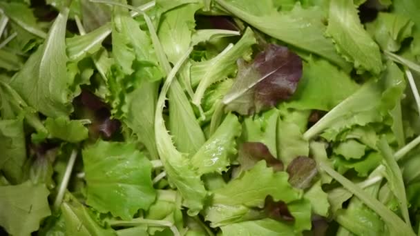 緑のサラダは背景を残します。有機野菜の生。最上階だ。ビーガン食とベジタリアンフードのコンセプト. — ストック動画