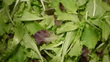Yeşil salata arka planda kalır. Çiğ organik sebzeler. Üst Manzara. Vejetaryen diyeti ve vejetaryen gıda konsepti.