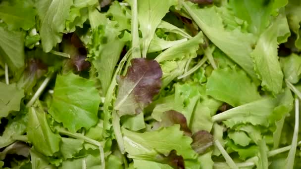 Zielona sałatka pozostawia tło. Surowe organiczne warzywa. Widok góry. Wegańska dieta i wegetariańska koncepcja żywności. — Wideo stockowe